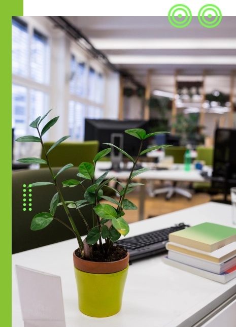 XStrong Power - About Us